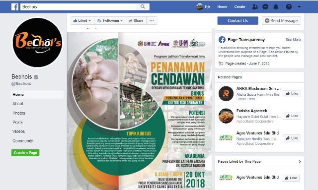 cendawan